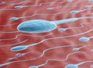 怎么治療尿路感染？